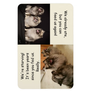 Om te voeden of niet te voeden is de vraagmagneet magneet