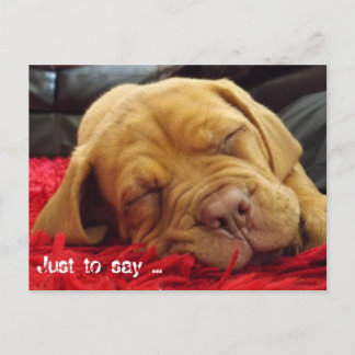 Om te zeggen: .... briefkaart