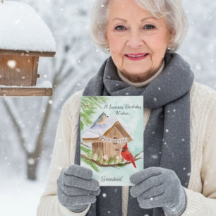 Oma Gefeliciteerd Januari Verjaardag Met Vogels bi Kaart