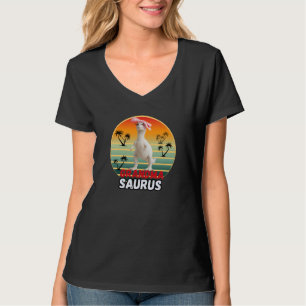Oma Saurus T-Rex Mama Dinosaurus Grappig Cadeau T-shirt