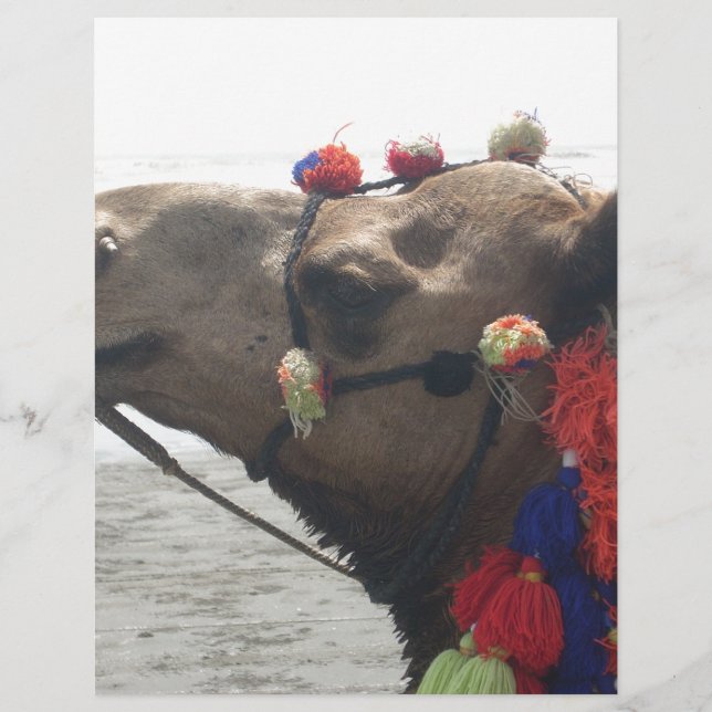 Oman! Muscat (Voorkant)