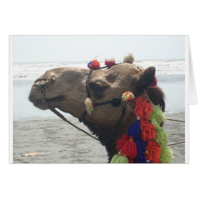 Oman! Muscat (Voorkant Horizontaal)