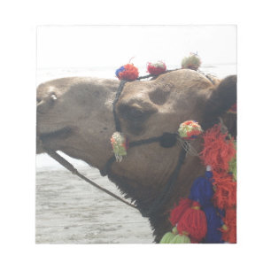 Oman Muscat Camel Fotokunst Print Notitieblok