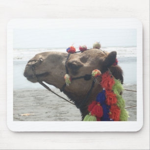 Oman Muscat Kameel Foto Kunstprint Muismat
