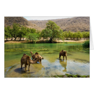 Oman, Wadi darbat