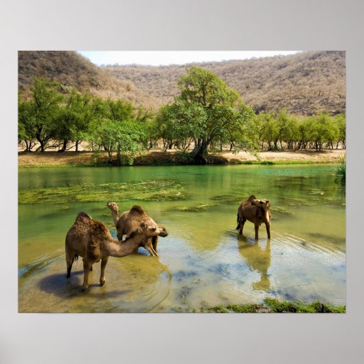 Oman, Wadi Darbat Poster (Voorkant)