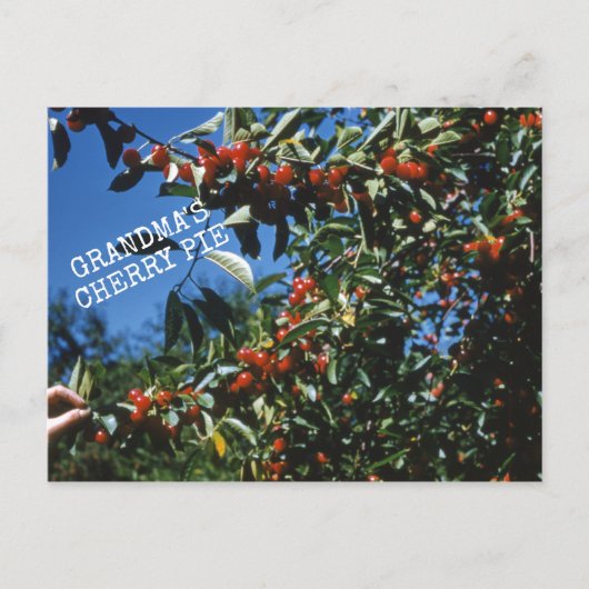 Oma's Cherry Pie Recept Briefkaart (Voorkant)