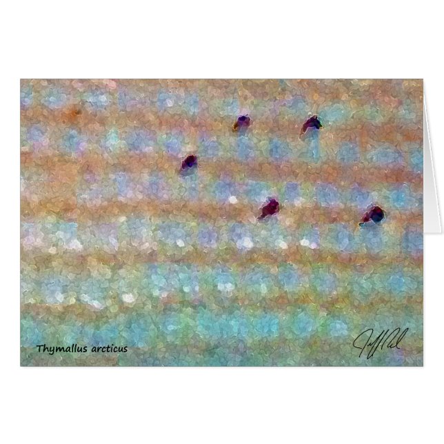 Ombre arctique - carte (Devant horizontal)