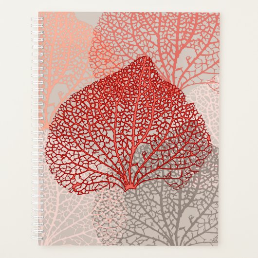 Ombre corail (Devant)