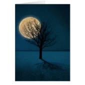 Ombre de la lune (Devant)