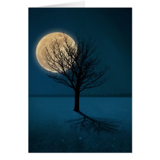 Ombre de la lune (Devant)