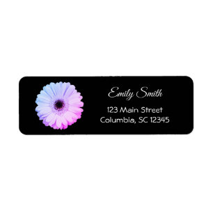 Ombre Gerbera Daisy on Black Retouradres Etiket