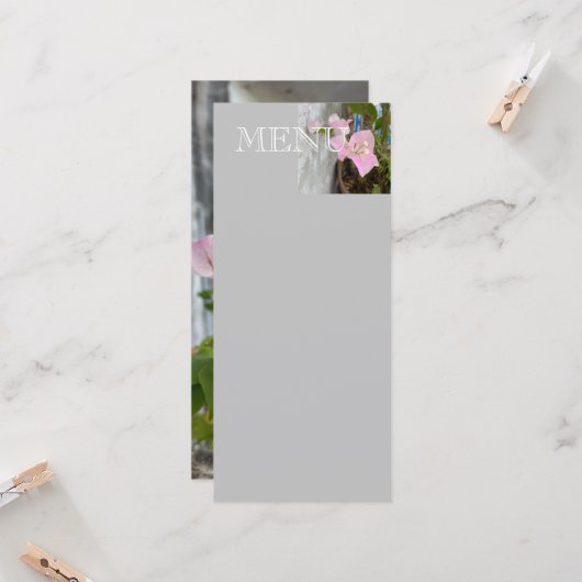 Ombre roze bougainvillea of papieren bloem, tropis (Voorkant / Achterkant in situ)