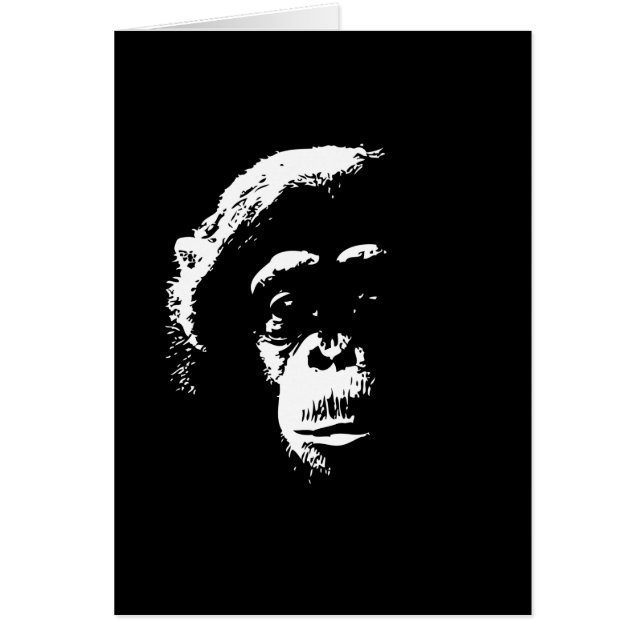 Ombres de chimpanzé (Devant)