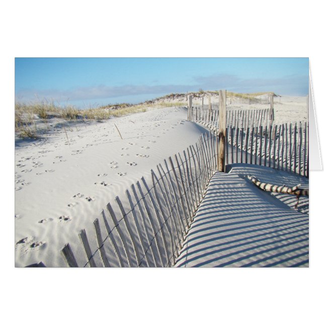 Ombres, dunes de sable, et barrières (Devant horizontal)