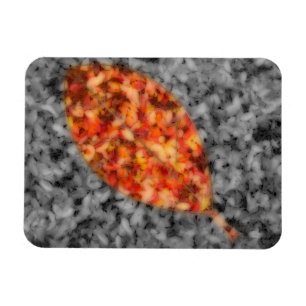 Ombres lumineuses Magnet flexible