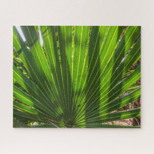 Ombres Palmetto sur le Puzzle Palmetto