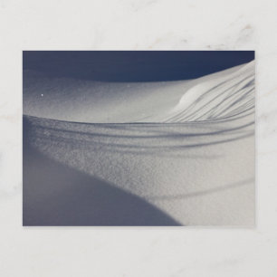 Ombres sur la neige intacte CC0098 Carte postale