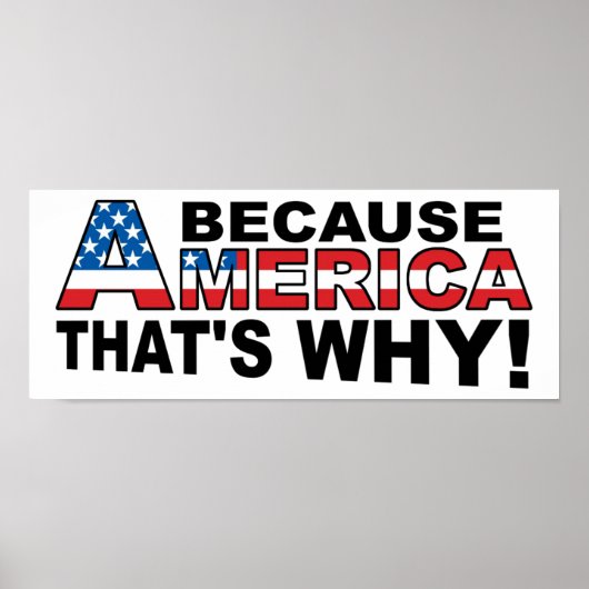 Omdat Amerika Grappige Poster (Voorkant)