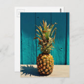Omdat ananas briefkaart (Voorkant / Achterkant)