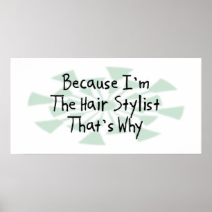 Omdat ik de Hair Stylist ben Poster