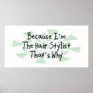 Omdat ik de Hair Stylist ben Poster