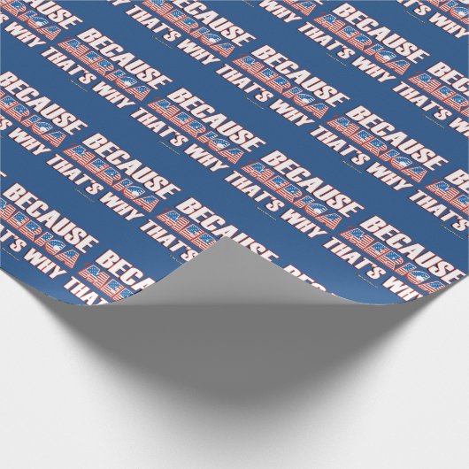 Omdat Merica dat de reden is Cadeaupapier (Hoek)