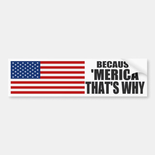 OMDAT 'MERICA' WAAROM Bumpersticker IS (Voorkant)