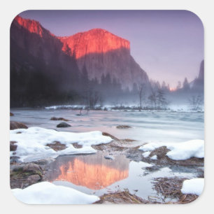 Omega Red Vierkante Sticker