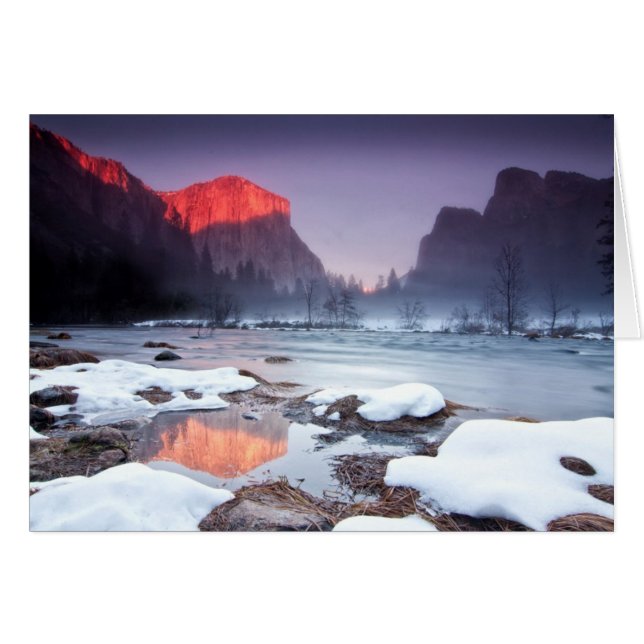 Oméga rouge (Devant horizontal)