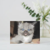 OMG BRIEFKAART (Staand voorkant)