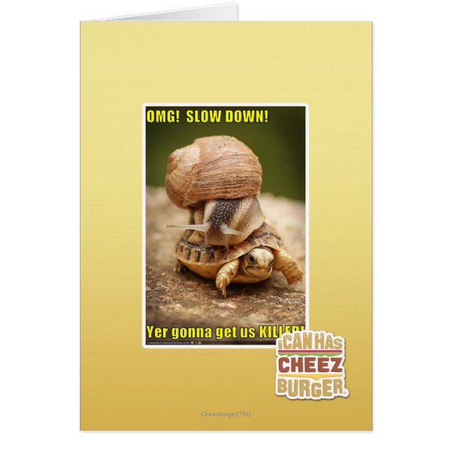 OMG! Langzaam! (Voorkant)