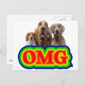 OMG Rainbow met verraste honden. Briefkaart (Voorkant / Achterkant)