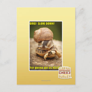 OMG! Rustig aan! Briefkaart