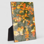 omgekomen bladeren in de regen fotoplaat (Zijkant)