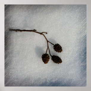 omgevallen twijg poster