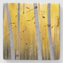 omgeven door Aspen-bomen Stenen Onderzetter