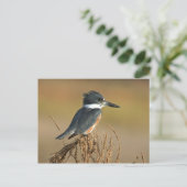 Omgorde Ijsvogel Briefkaart (Staand voorkant)