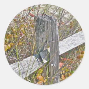 Omheining en gif IBSP NJ Coördinerende items Ronde Sticker