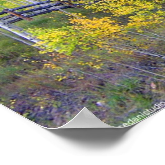Omheining met Aspens Poster (Hoek)