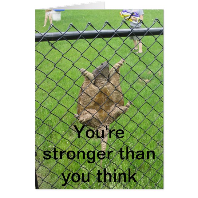 Omheining voor schildpad (Voorkant)