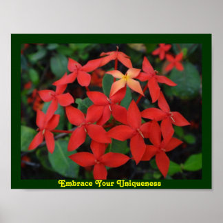 Omhels uw unieke poster