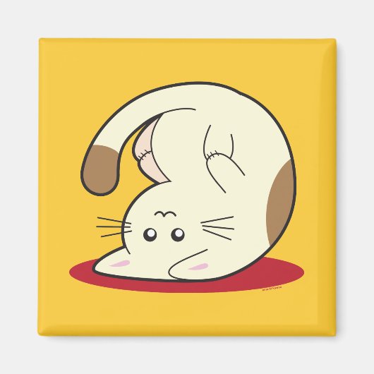 Omhoog Cat Magneet (Voorkant)