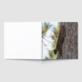 Omhoog Eekhoorn Gastenboek (Volledig)