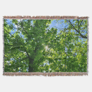 Omhoog kijken naar groene bladeren en blauwe lucht deken