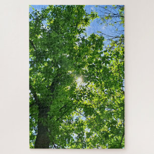 Omhoog kijken naar groene bladeren en blauwe lucht legpuzzel