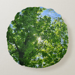Omhoog kijken naar groene bladeren en blauwe lucht rond kussen