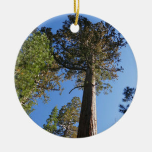 Omhoog kijken naar Mariposa Grove Keramisch Ornament