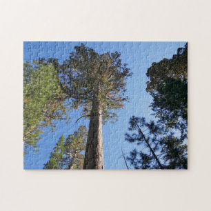 Omhoog kijken naar Mariposa Grove Legpuzzel
