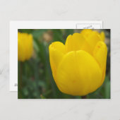 Omhoog Sluiten en Persoonlijk Briefkaart (Voorkant / Achterkant)